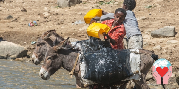 Emergenza acqua Eritrea